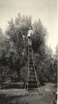 6 John picking fruit in California age 20